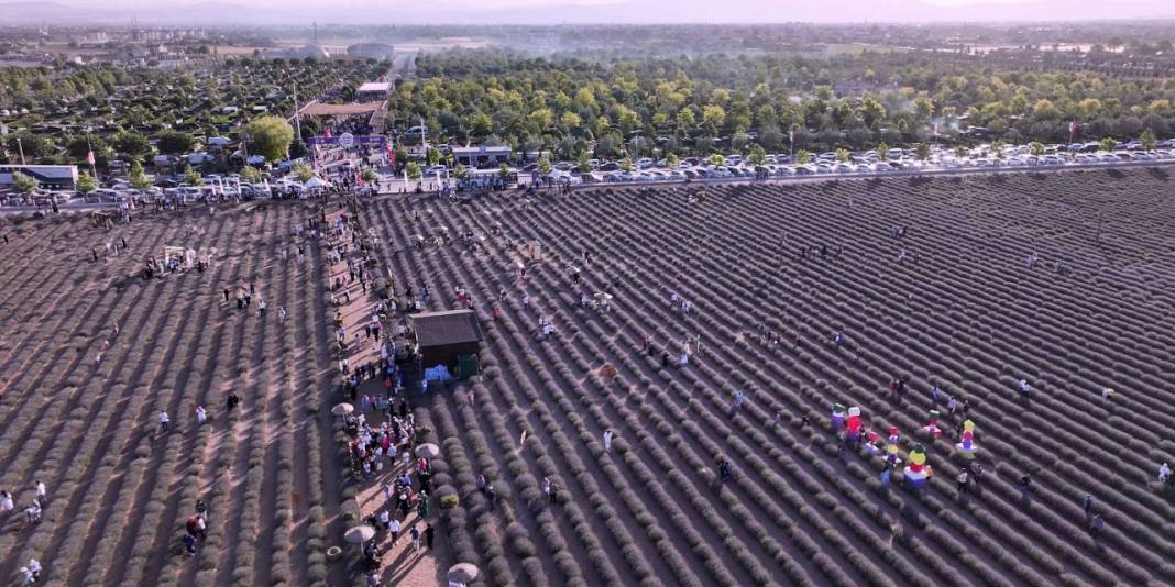 Konya’da lavanta büyüsü! Türkiye’nin en büyüğü dünyadan ziyaretçi ağırlıyor 1